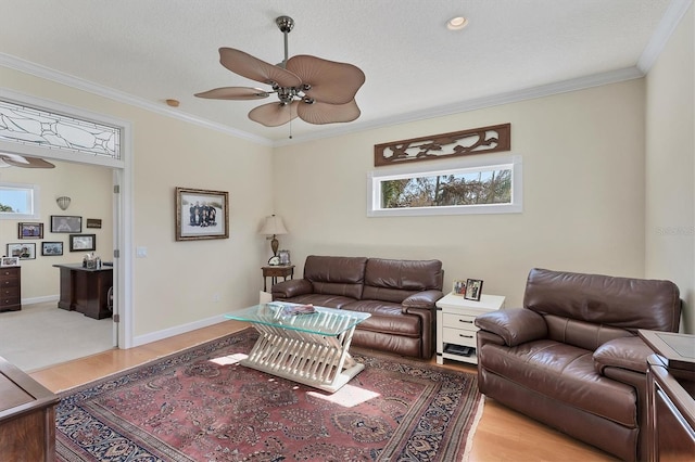 living room with ceiling fan, ornamental molding, and light wood-type flooring