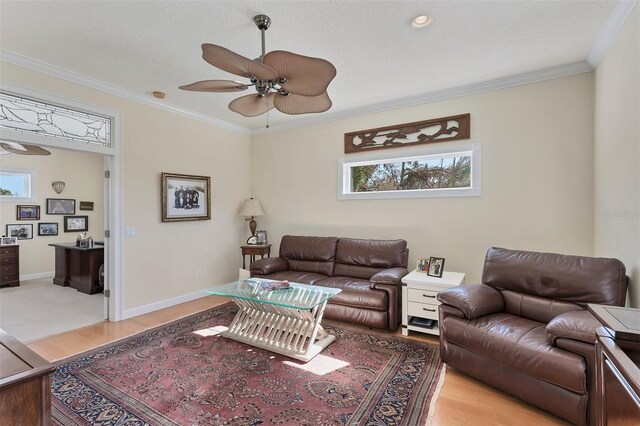 6405 Gulf Dr, Holmes Beach, FL 34217 - living room with crown molding, light wood-style flooring, a ceiling fan, and baseboards