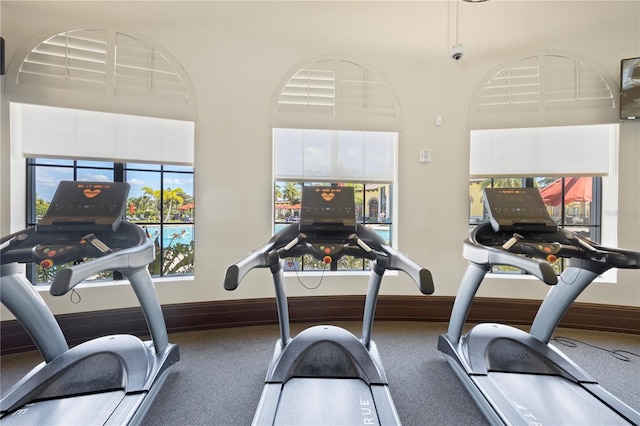 workout area featuring carpet, plenty of natural light, and a high ceiling