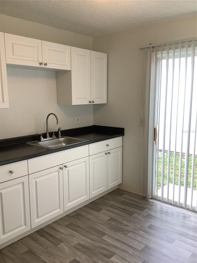 kitchen with hardwood / wood-style flooring, plenty of natural light, and sink