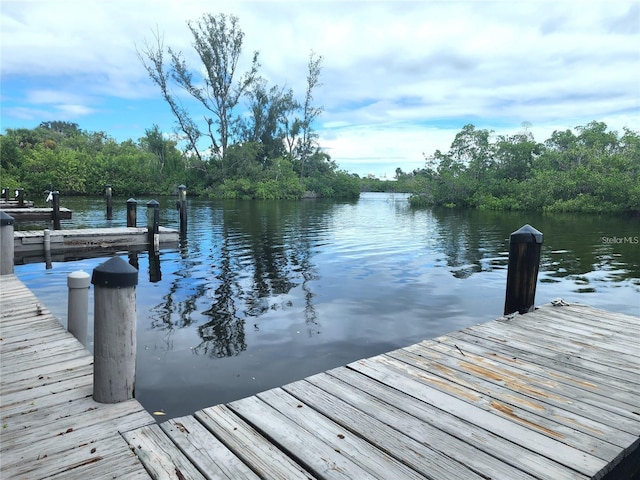 dock area with a water view