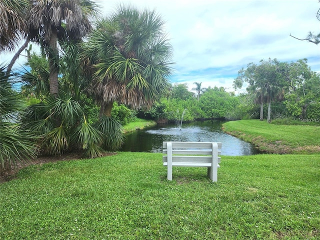 view of community with a water view and a lawn