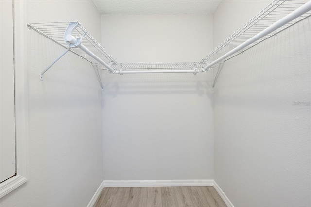 spacious closet featuring hardwood / wood-style flooring