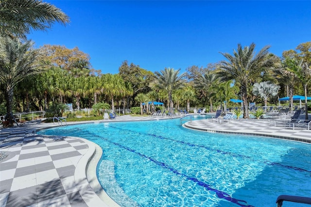 view of swimming pool featuring a patio