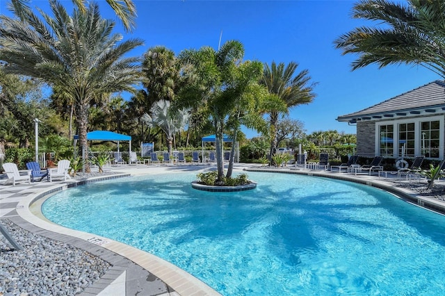 view of swimming pool