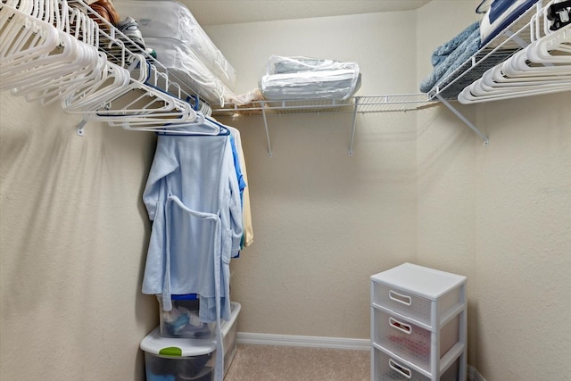 walk in closet featuring carpet floors