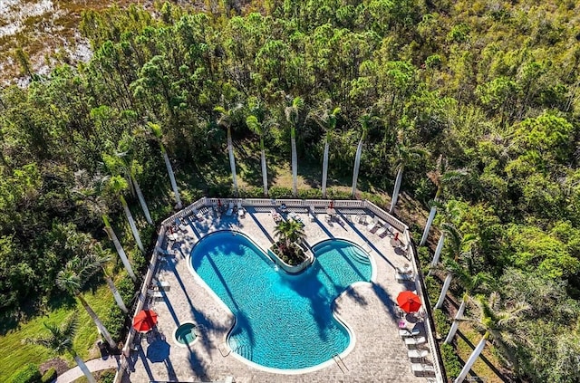 view of swimming pool featuring a patio