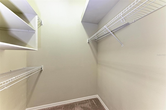 spacious closet with carpet