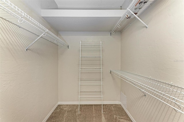 walk in closet featuring carpet flooring