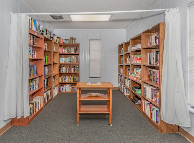 misc room featuring wooden walls, carpet floors, and ornamental molding