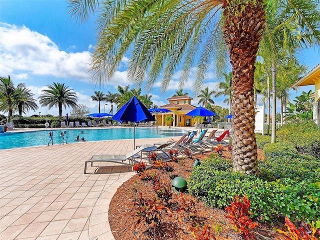 view of swimming pool with a patio area