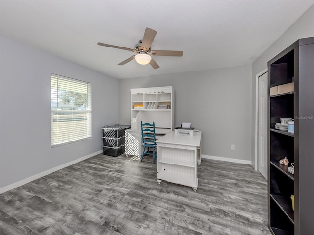 office featuring hardwood / wood-style floors and ceiling fan