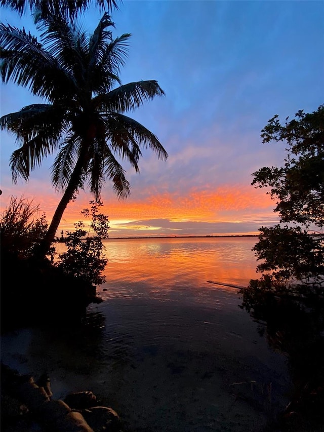 nature at dusk with a water view