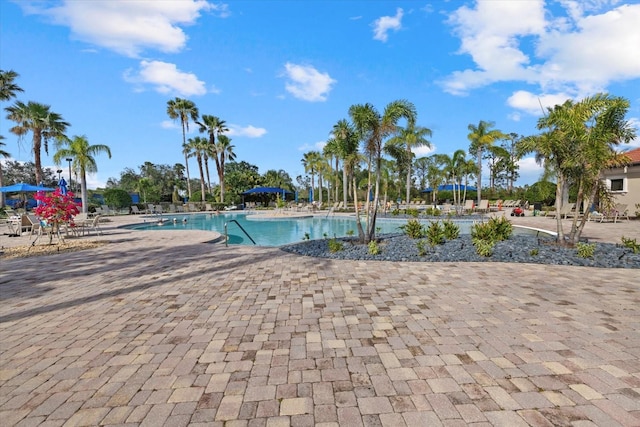 view of swimming pool with a patio