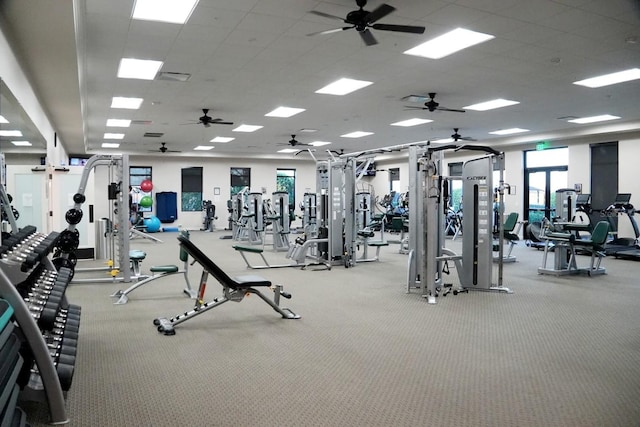 exercise room featuring carpet and a paneled ceiling