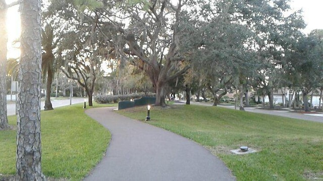 view of community featuring a lawn