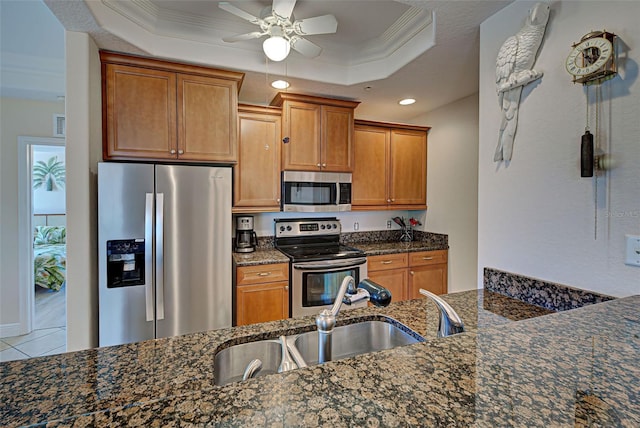 kitchen with sink, a raised ceiling, stainless steel appliances, and dark stone counters