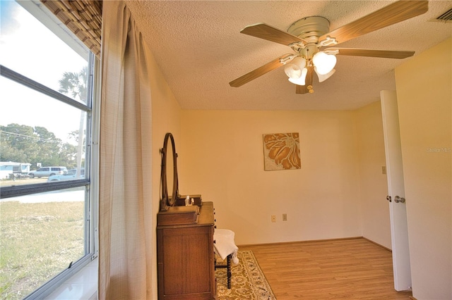 hallway with a textured ceiling, light hardwood / wood-style flooring, and a wealth of natural light