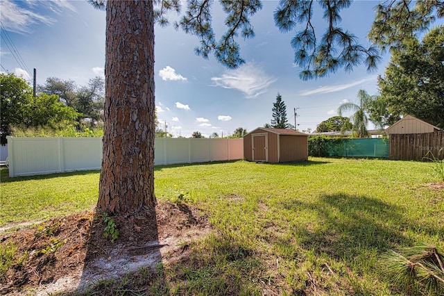 view of yard featuring a storage shed