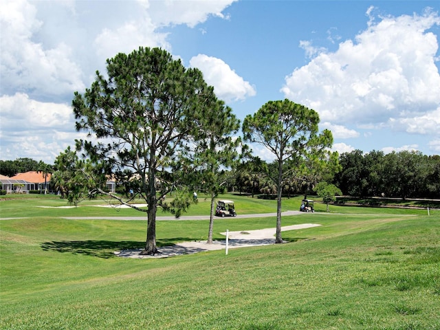 view of property's community featuring a yard