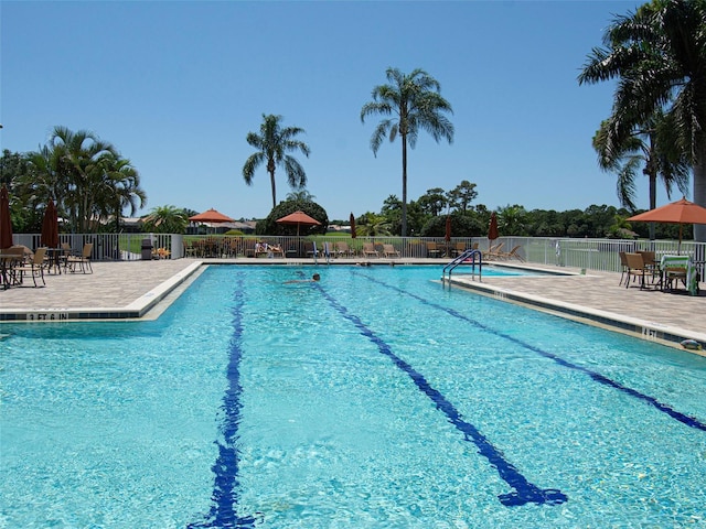 view of swimming pool featuring a patio