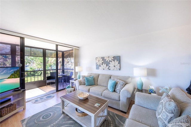 living room with floor to ceiling windows and light hardwood / wood-style floors