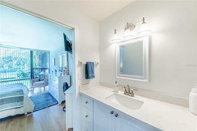 bathroom featuring hardwood / wood-style floors and vanity