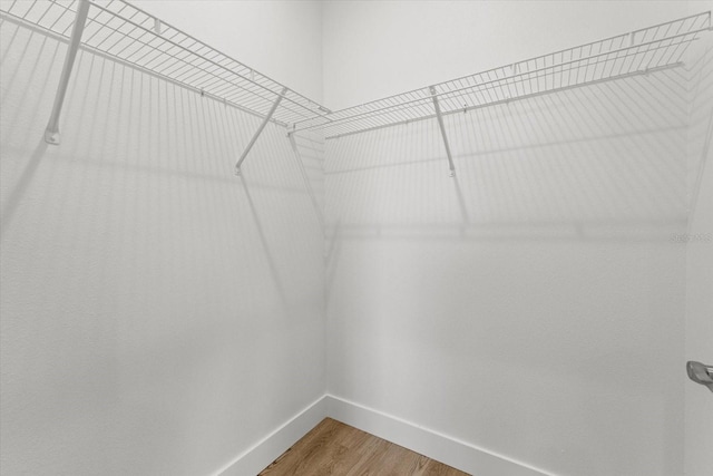 walk in closet featuring hardwood / wood-style flooring