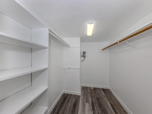 walk in closet with dark hardwood / wood-style floors