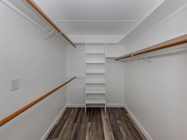 walk in closet with dark hardwood / wood-style flooring