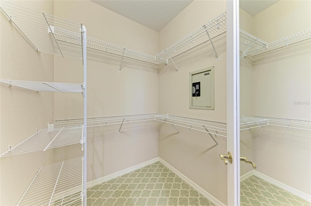 walk in closet with electric panel