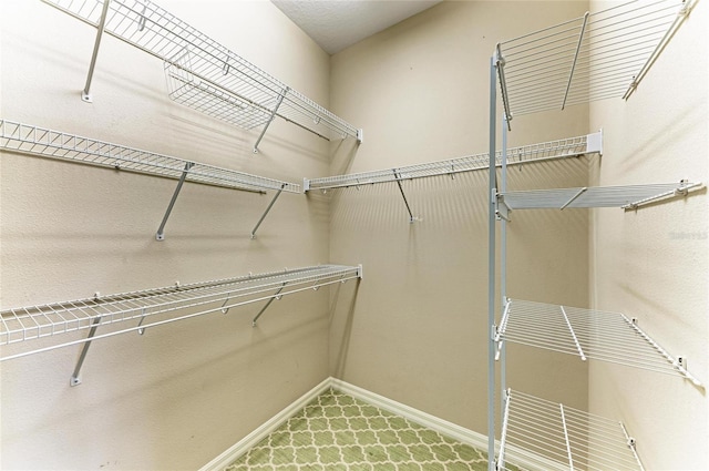 view of spacious closet