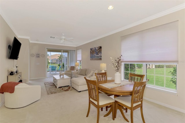 carpeted dining space with ceiling fan and ornamental molding