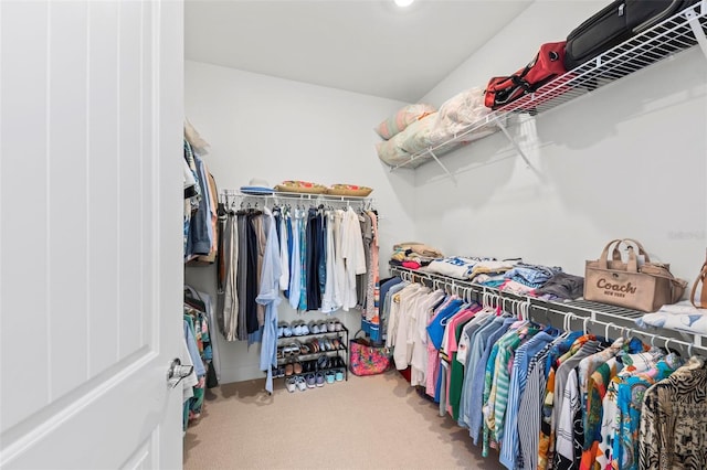 walk in closet with carpet floors