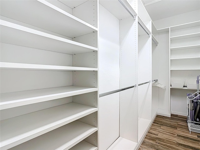 spacious closet featuring dark wood-type flooring