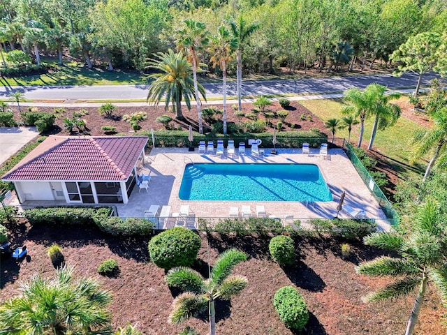 view of pool featuring a patio