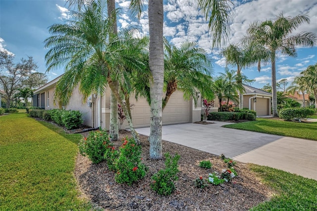 view of front of property with a front lawn