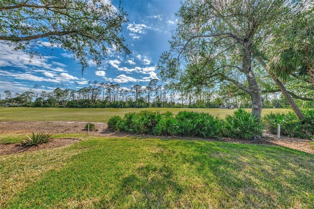 view of yard featuring a rural view