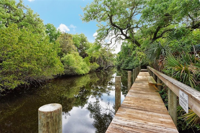 dock area with a water view