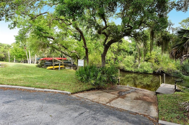 view of community with a lawn and a dock