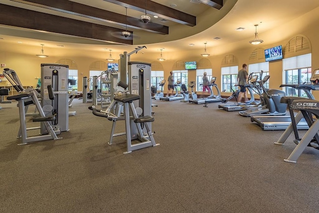 exercise room featuring a towering ceiling