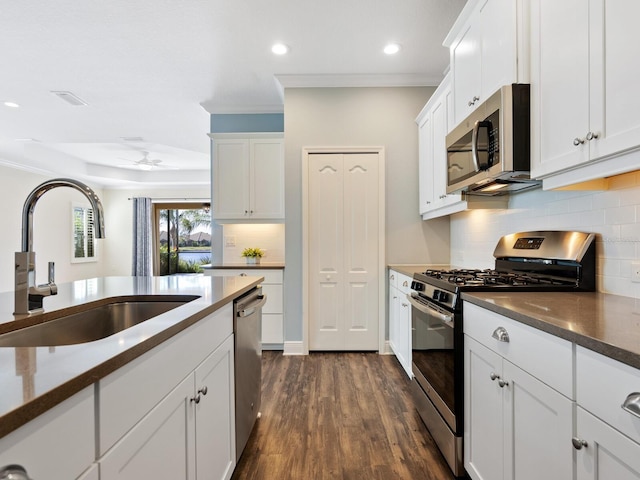 kitchen featuring dark wood-type flooring, white cabinetry, stainless steel appliances, sink, and ceiling fan