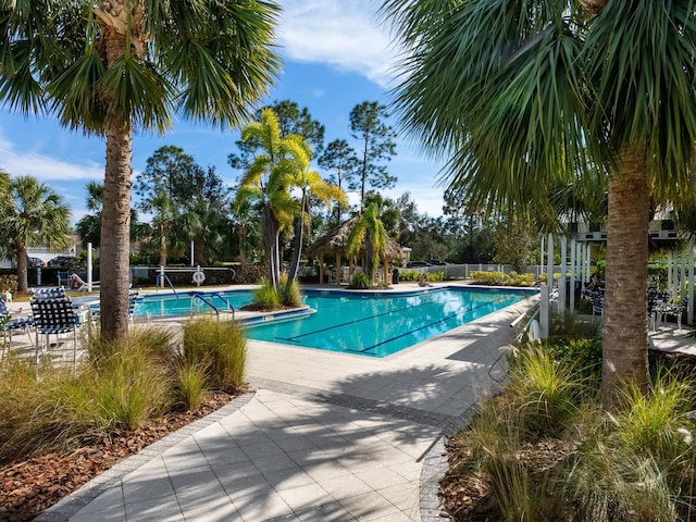 view of pool featuring a patio