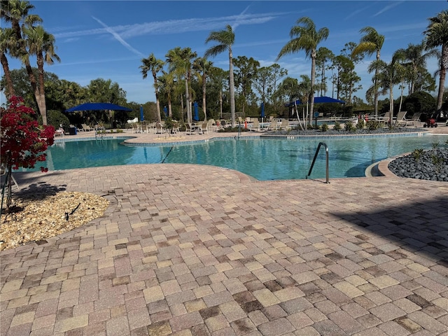 view of pool featuring a patio area