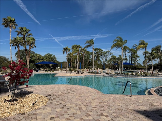 view of swimming pool with a patio