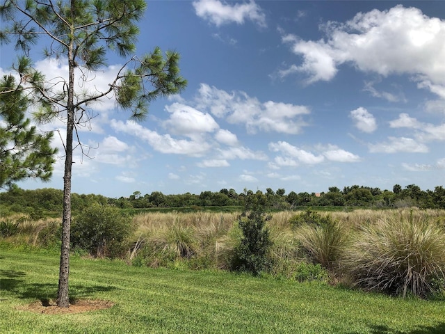 view of local wilderness with a rural view