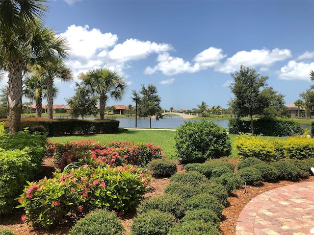 view of property's community with a water view and a lawn