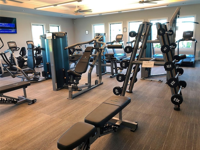 exercise room featuring ceiling fan and a wealth of natural light