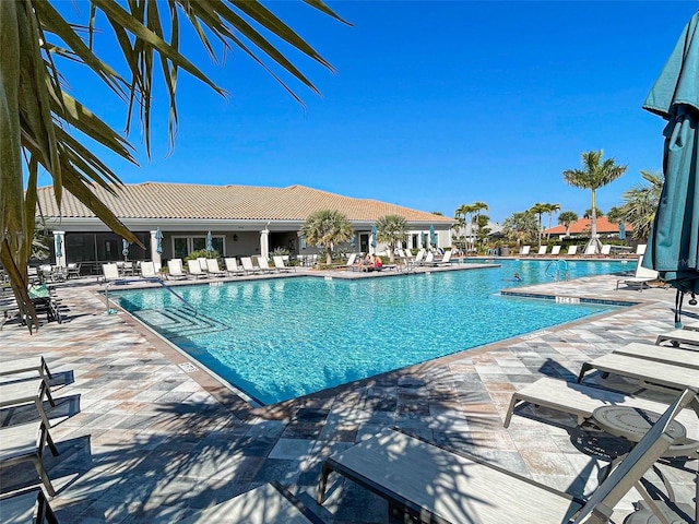 view of pool with a patio area