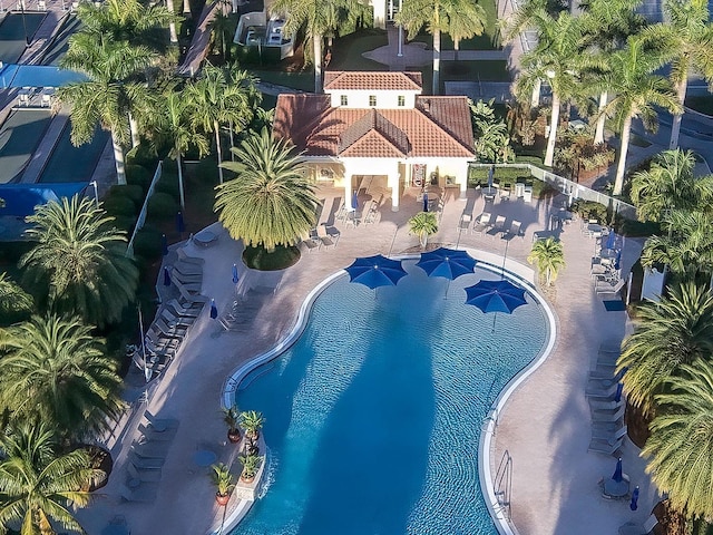 view of swimming pool with a patio